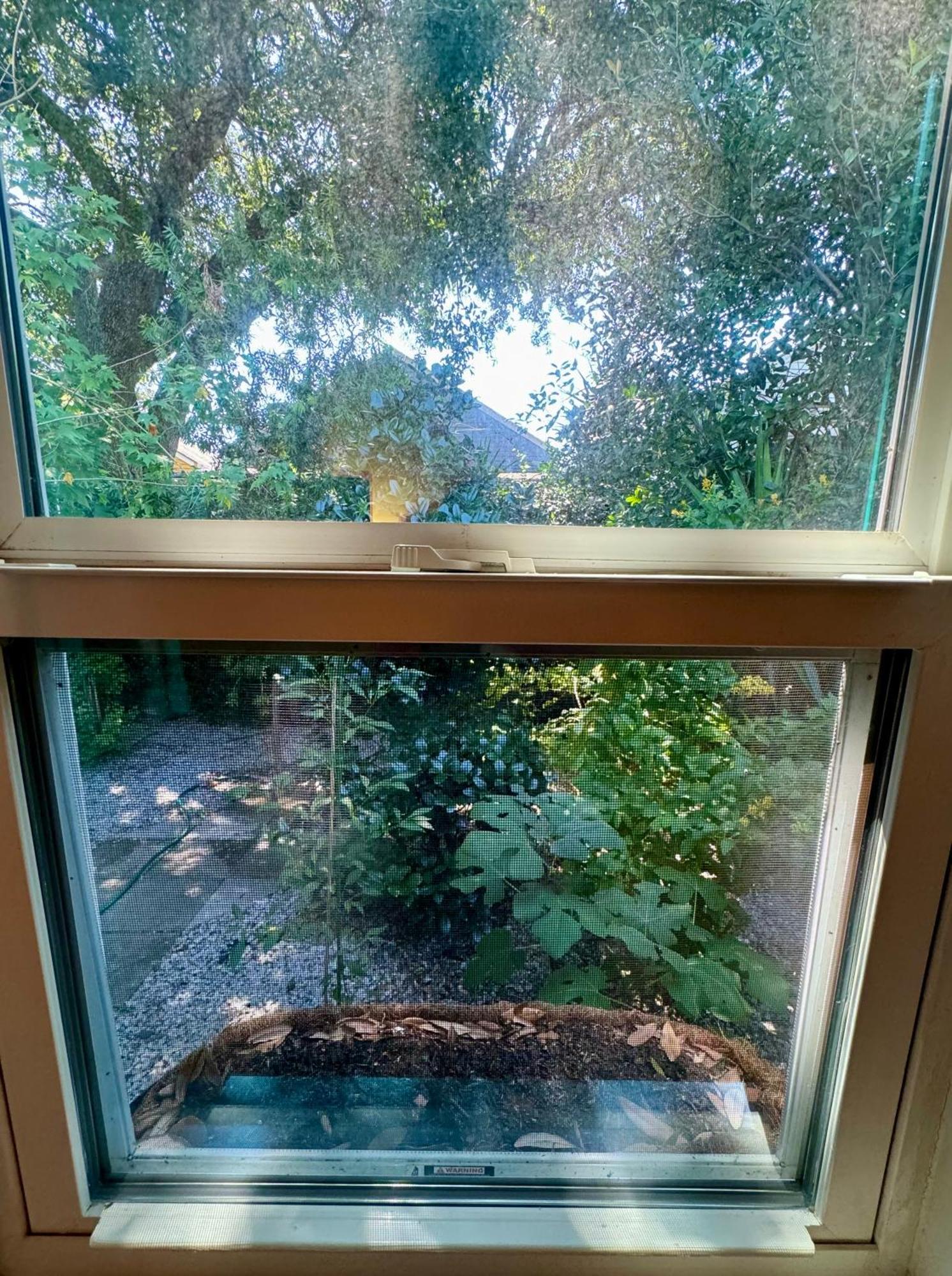 ניו אורלינס One Bedroom Apartment With Hot Tub 2 Blocks To Magazine Street מראה חיצוני תמונה